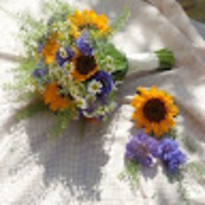 Meet your Posher, Sophia